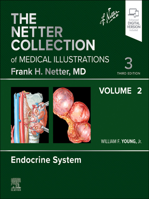The Netter Collection of Medical Illustrations: Endocrine System, Volume 2 