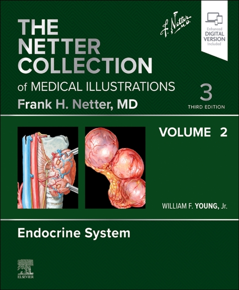 Cover image for book The Netter Collection of Medical Illustrations: Endocrine System, Volume 2