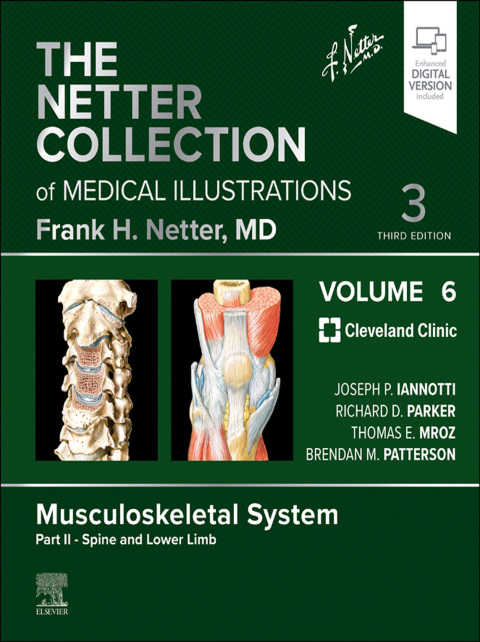 Cover image for book The Netter Collection of Medical Illustrations: Musculoskeletal System, Volume 6, Part II - Spine and Lower Limb