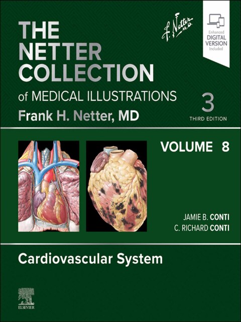 Cover image for book The Netter Collection of Medical Illustrations: Cardiovascular System, Volume 8