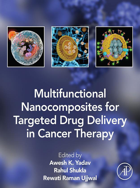 Cover image for book Multifunctional Nanocomposites for Targeted Drug Delivery in Cancer Therapy