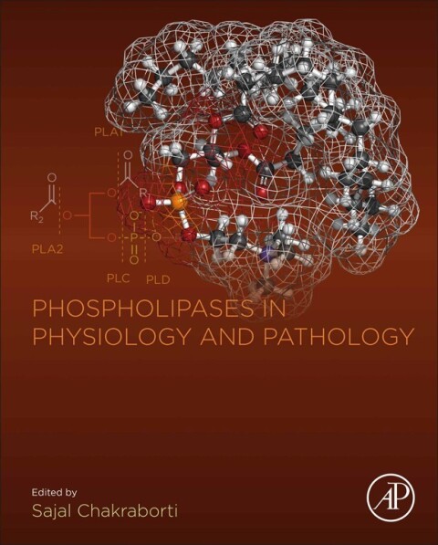 Cover image for book Phospholipases in Physiology and Pathology