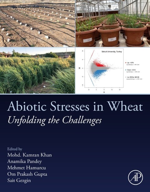 Abiotic Stresses in Wheat 