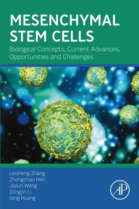 Mesenchymal Stem Cells 