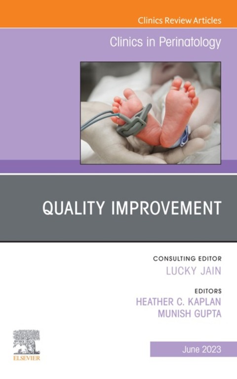 Cover image for book Quality Improvement, An Issue of Clinics in Perinatology