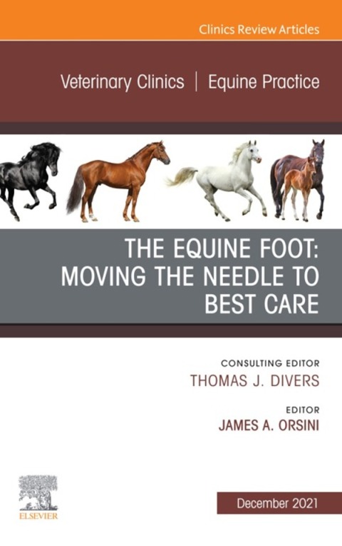 Cover image for book The Equine Foot: Moving the Needle to Best Care, An Issue of Veterinary Clinics of North America: Equine Practice