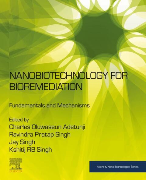 Nanobiotechnology for Bioremediation 