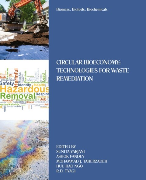 Cover image for book Biomass, Biofuels, Biochemicals