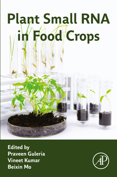 Plant Small RNA in Food Crops 