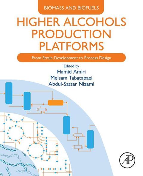 Cover image for book Higher Alcohols Production Platforms