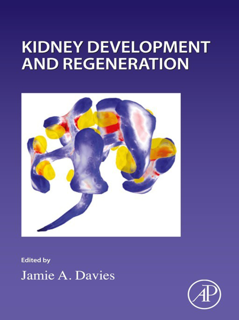 Cover image for book Kidney Development and Regeneration