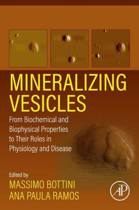 Cover image for book Mineralizing Vesicles