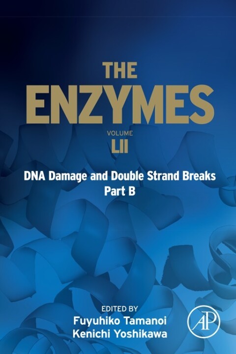 Cover image for book DNA Damage and Double Strand Breaks Part B