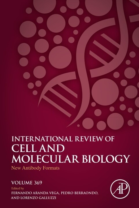 Cover image for book New Antibody Formats