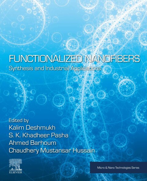Cover image for book Functionalized Nanofibers