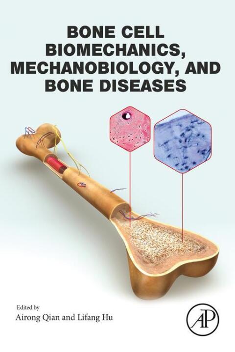 Cover image for book Bone Cell Biomechanics, Mechanobiology and Bone Diseases