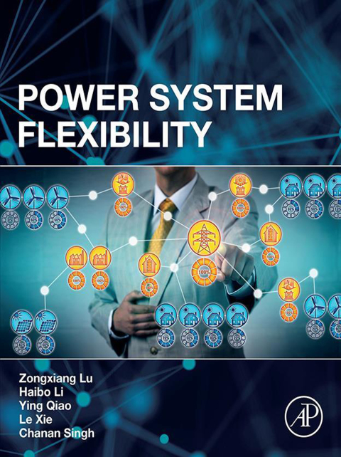 Cover image for book Power System Flexibility
