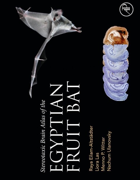 Cover image for book Stereotaxic Brain Atlas of the Egyptian Fruit Bat