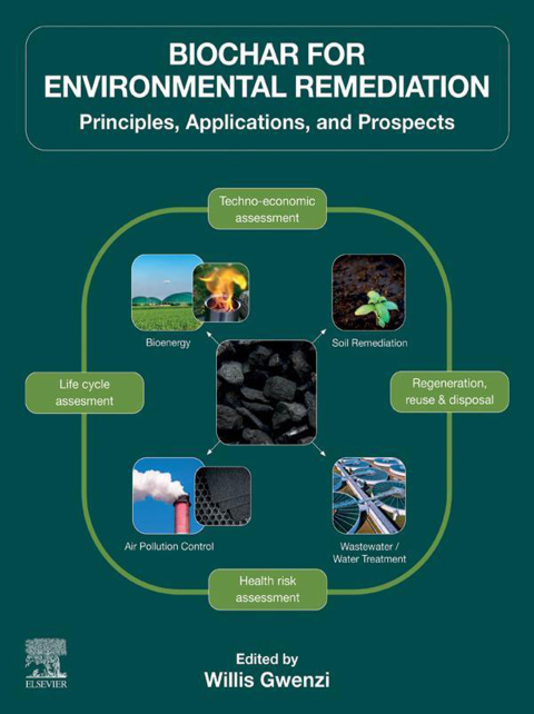 Cover image for book Biochar for Environmental Remediation