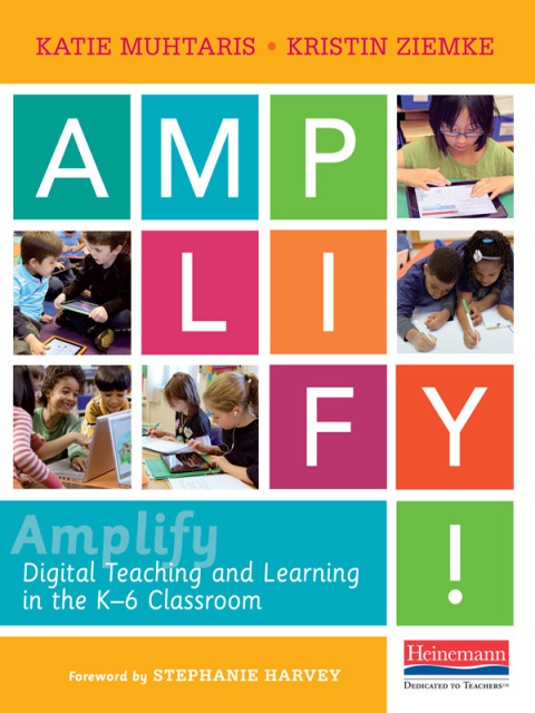 Cover image for book Amplify