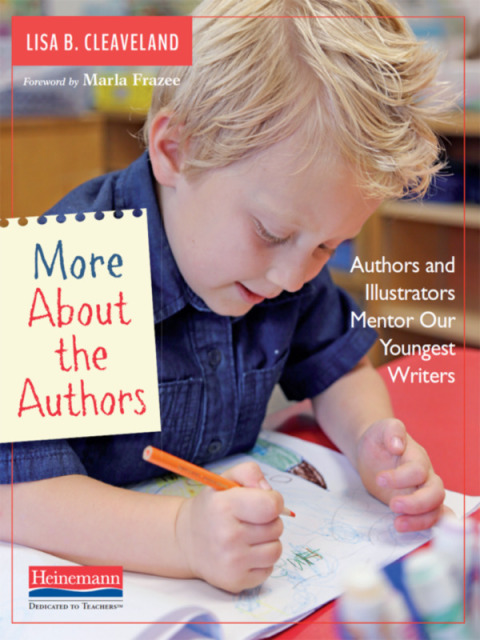 Cover image for book More About the Authors
