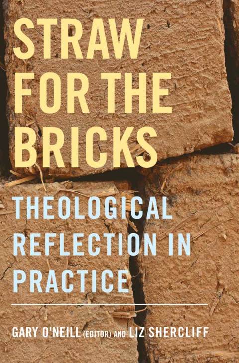 Cover image for book Straw for the Bricks