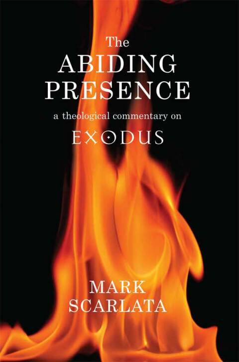 Cover image for book The Abiding Presence: A Theological Commentary on Exodus