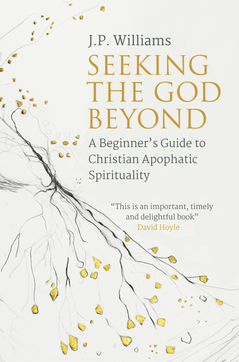 Cover image for book Seeking the God Beyond