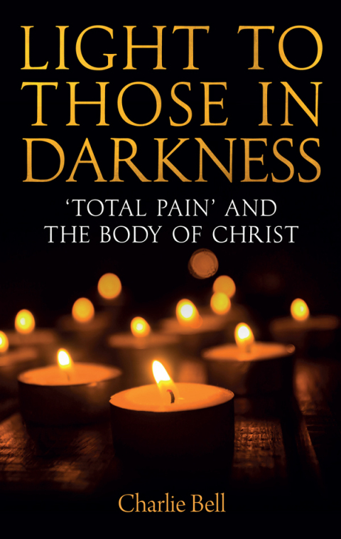 Cover image for book Light to those in Darkness