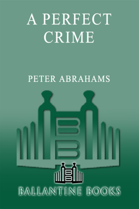 Cover image for book A Perfect Crime