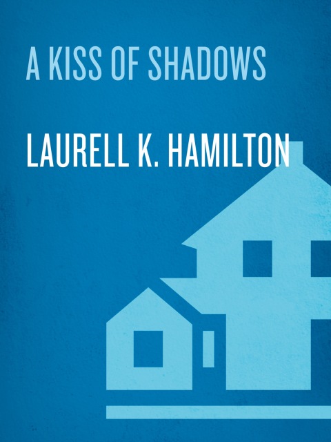 Cover image for book A Kiss of Shadows