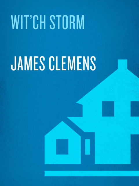 Cover image for book Wit'ch Storm