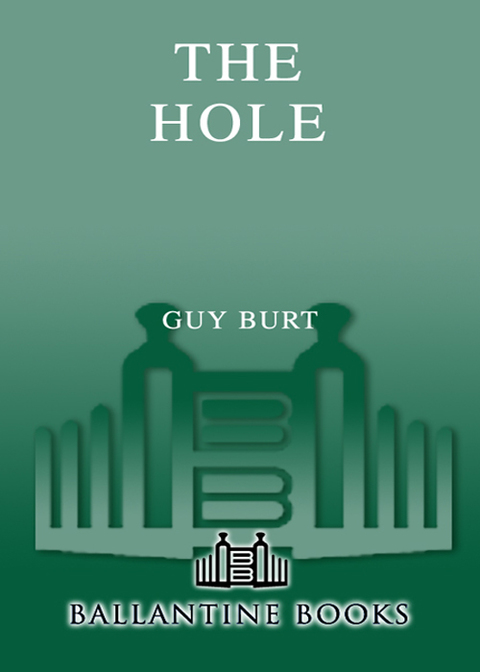 Cover image for book The Hole