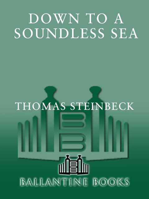 Cover image for book Down to a Soundless Sea