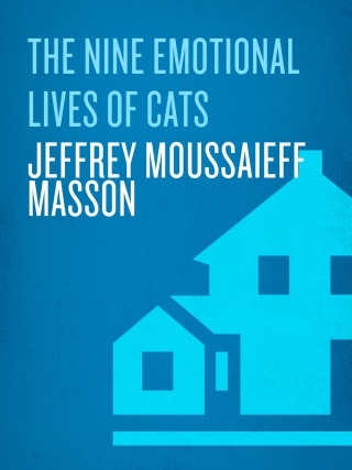 The Nine Emotional Lives of Cats
