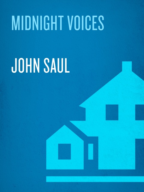 Cover image for book Midnight Voices