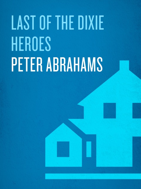 Cover image for book Last of the Dixie Heroes
