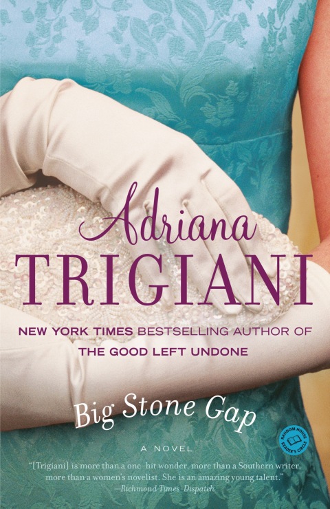 Cover image for book Big Stone Gap