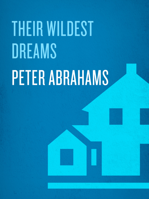 Cover image for book Their Wildest Dreams