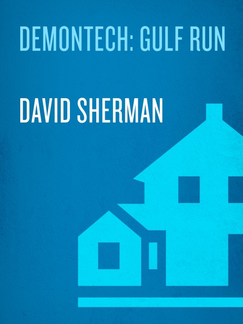 Cover image for book Demontech: Gulf Run