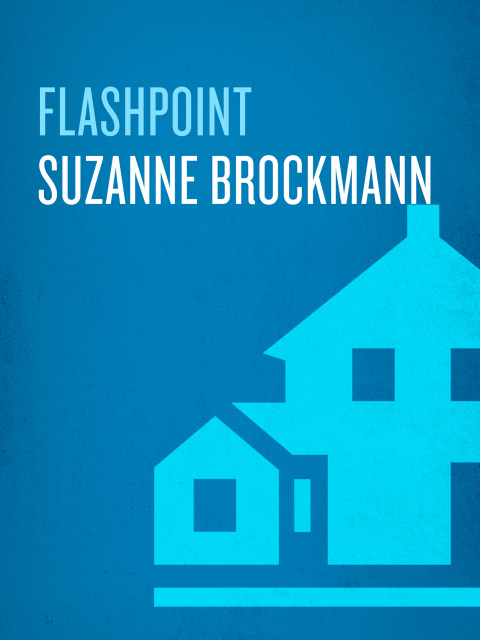 Cover image for book Flashpoint