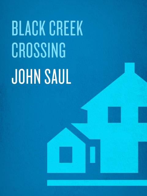 Cover image for book Black Creek Crossing