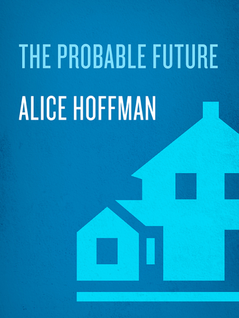 Cover image for book The Probable Future