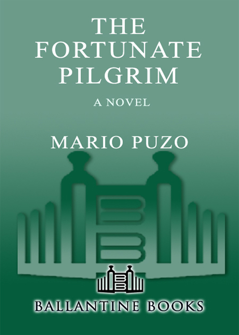Cover image for book The Fortunate Pilgrim