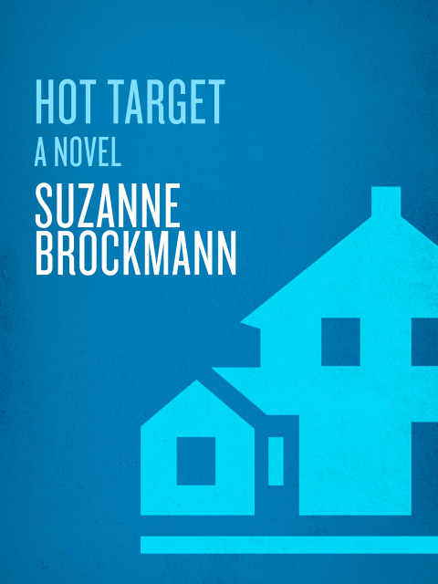 Cover image for book Hot Target