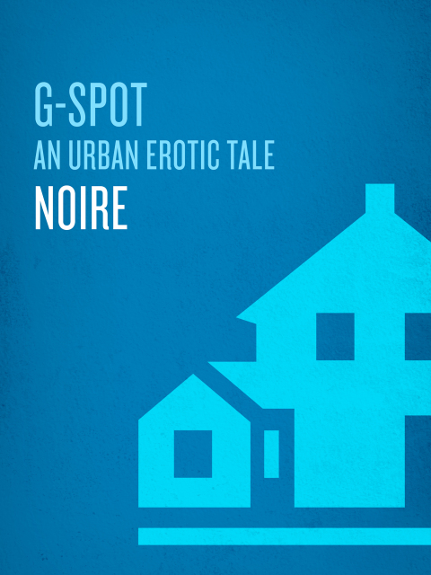 Cover image for book G-Spot