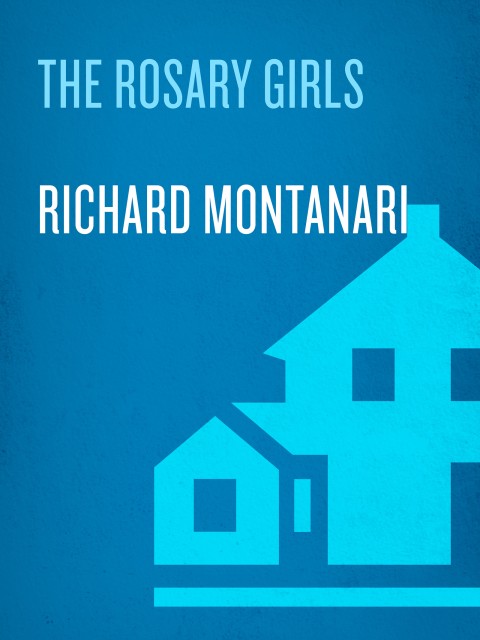 Cover image for book The Rosary Girls