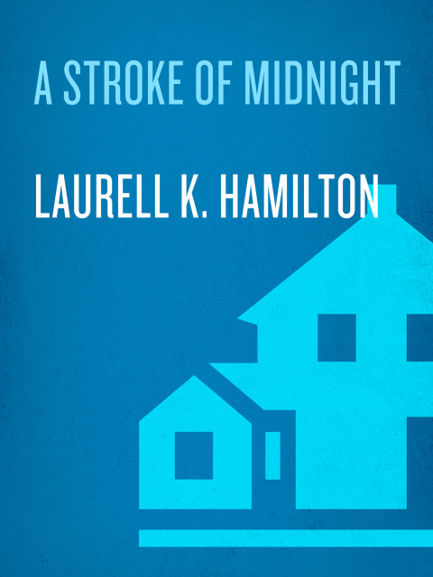 Cover image for book A Stroke of Midnight
