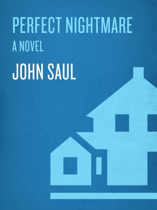 Perfect Nightmare