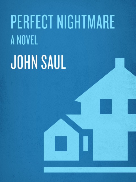 Cover image for book Perfect Nightmare